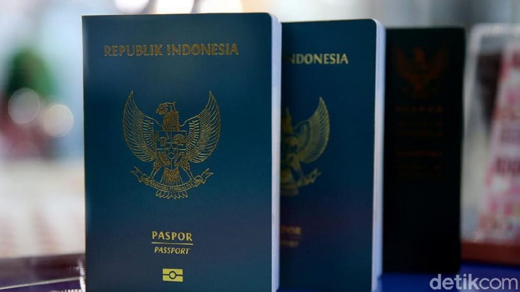paspor online